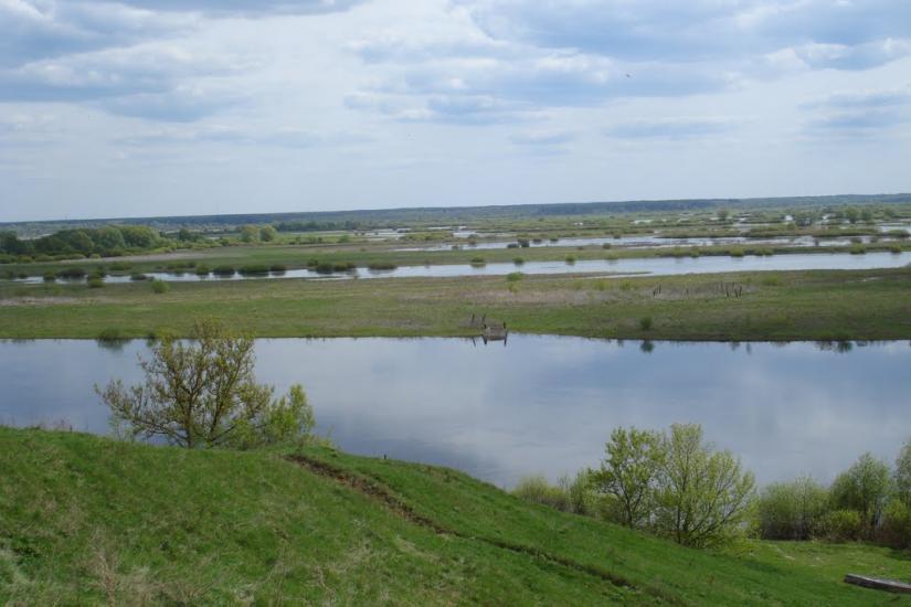 Араповичи з panoramio.com - Араповичи