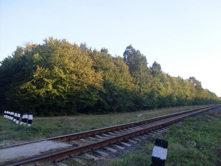 Шура-Мітлинецька з panoramio.com - Шура-Метлинецкая