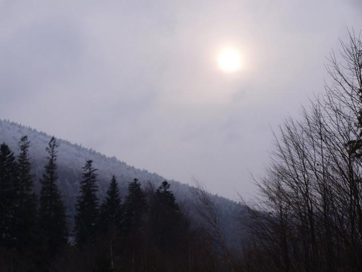 Пшеничники з panoramio.com - Пшеничники