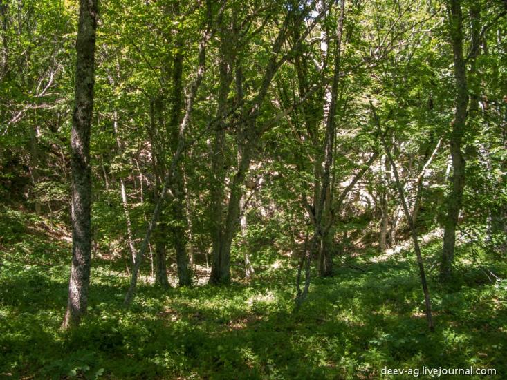 Оползневе з panoramio.com - Оползневое