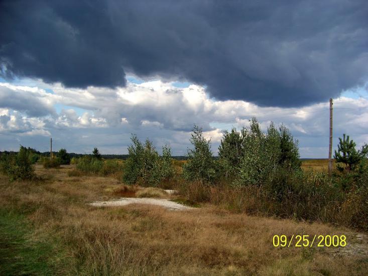 Вільшанка з panoramio.com - Вільшанка