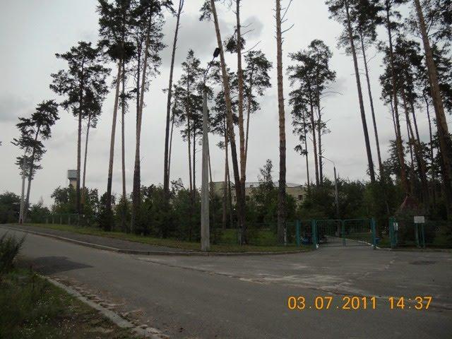 Зазим'я з panoramio.com - Зазимье