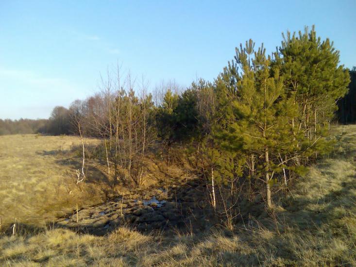 Макове з panoramio.com - Маково