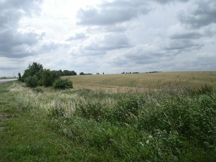 Копистин з panoramio.com - Kopystyn