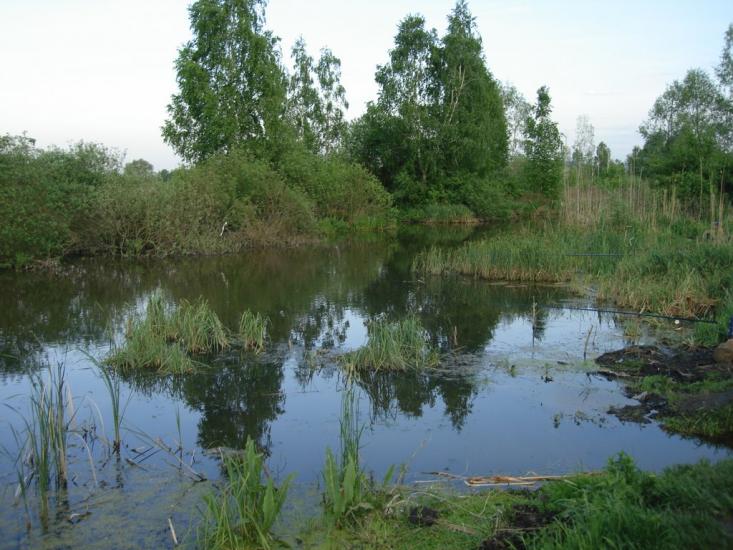 Старосілля з panoramio.com - Староселье