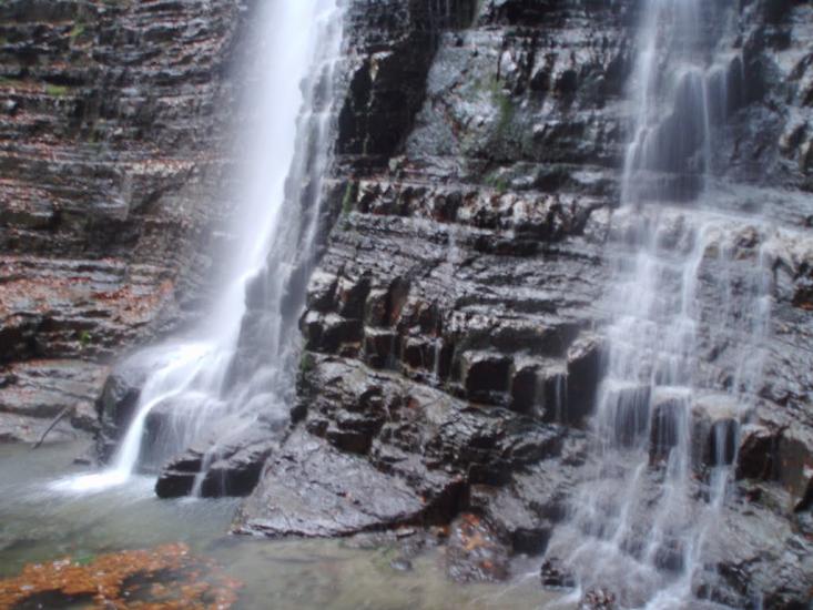 Кричка з panoramio.com - Кричка