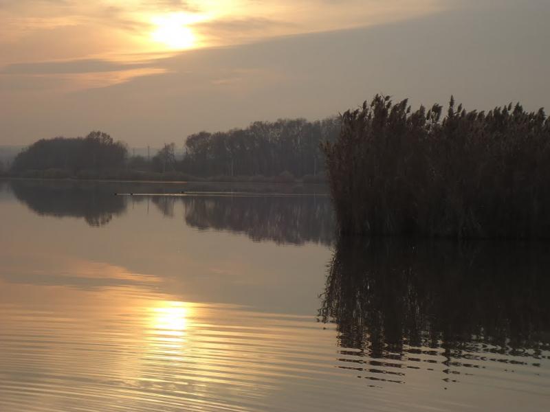 Доля з panoramio.com - Dolya