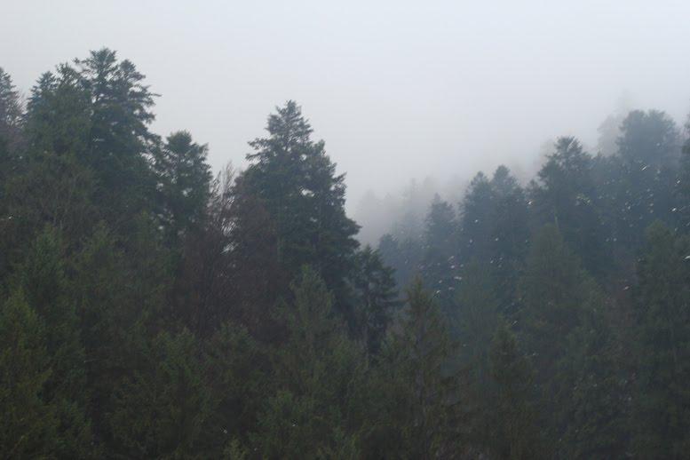 Усть-Чорна з panoramio.com - Усть-Чорна