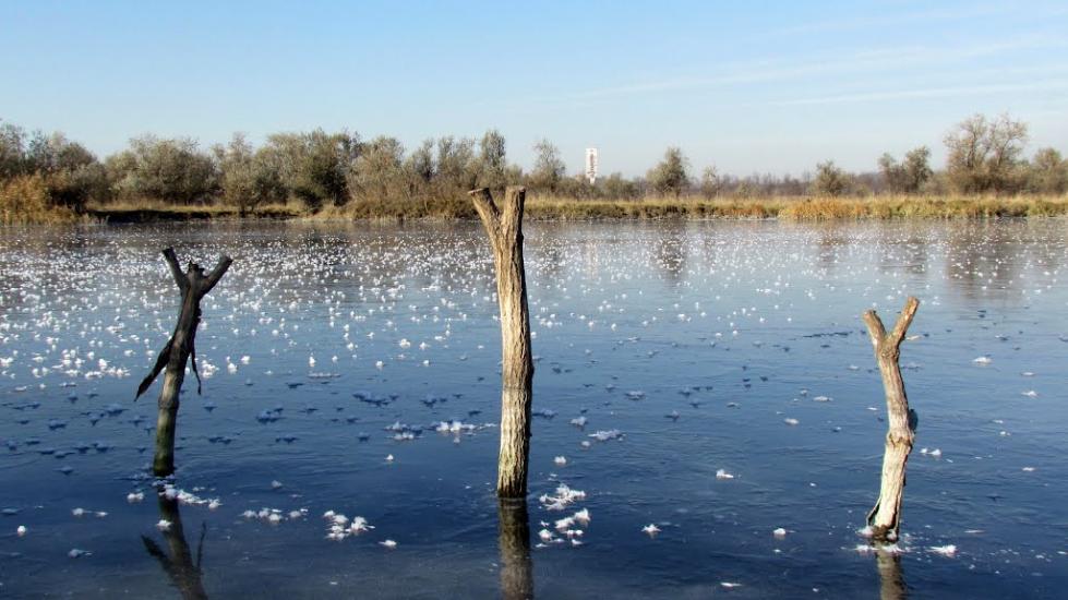 Гірницьке з panoramio.com - Горницкое