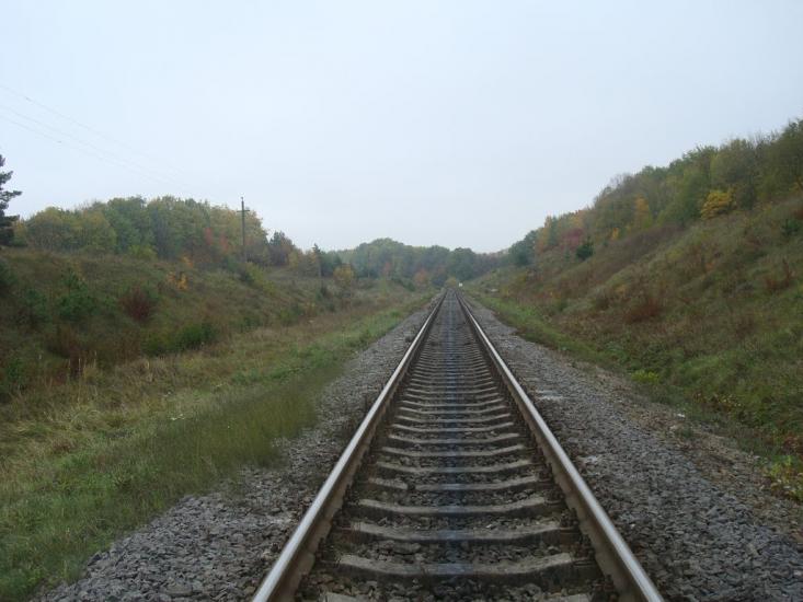 Малиничі з panoramio.com - Малиничи