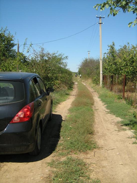 Алтестове з panoramio.com - Алтестово