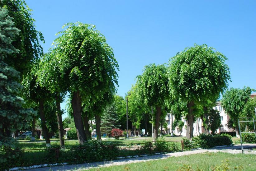 Бібрка з panoramio.com - Бібрка