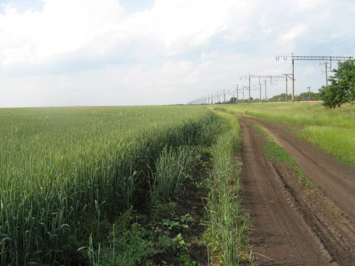 Переможне з panoramio.com - Peremozhne