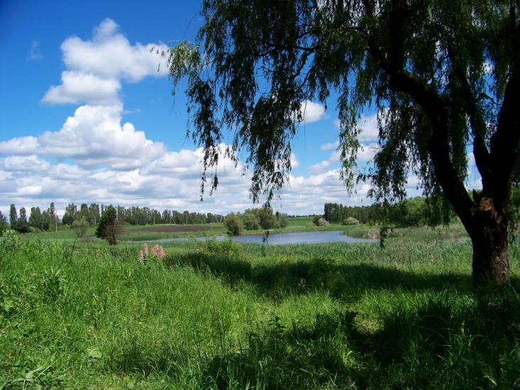 Сокиряни з panoramio.com - Сокиряны