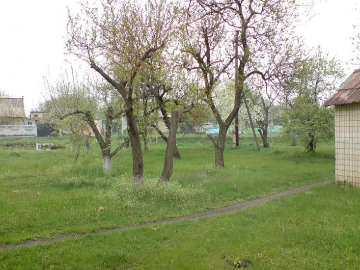 Веселе Поле з panoramio.com - Веселое Поле