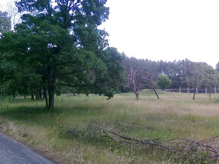 Житомир з panoramio.com - Житомир