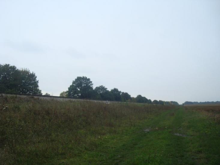 Григорівка з panoramio.com - Григоровка