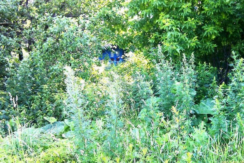 Червоний Степ з panoramio.com - Червоная Степь