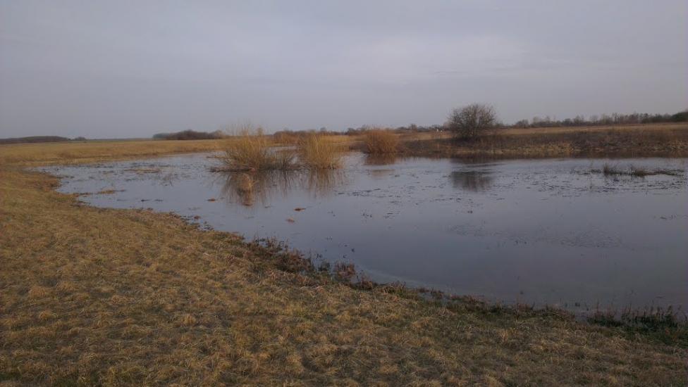 Говтва з panoramio.com - Govtva