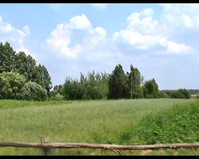 Сошники з panoramio.com - Сошники