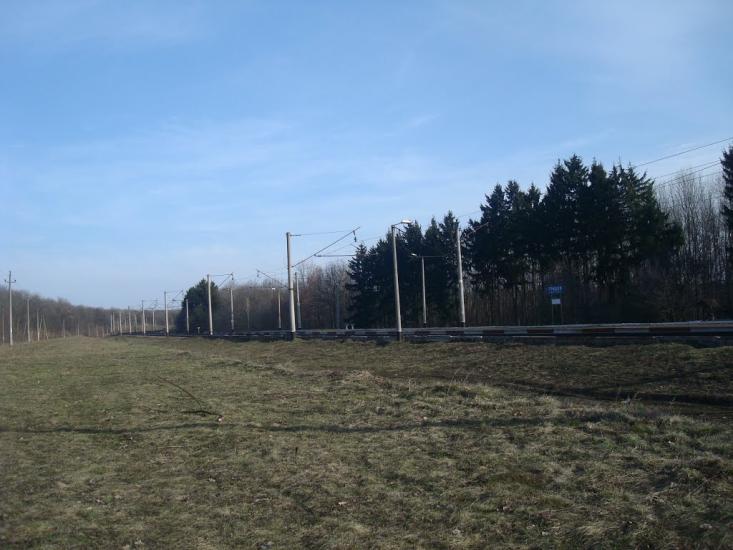 Шевченка з panoramio.com - Shevchenka