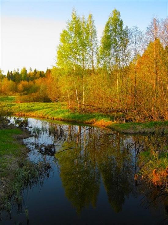 Новосілки з panoramio.com - Новоселки