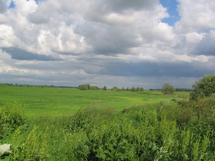 Терехівка з panoramio.com - Тереховка