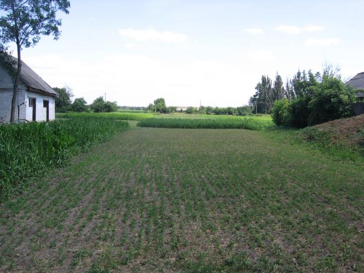 Кобринова Гребля з panoramio.com - Кобринова Гребля