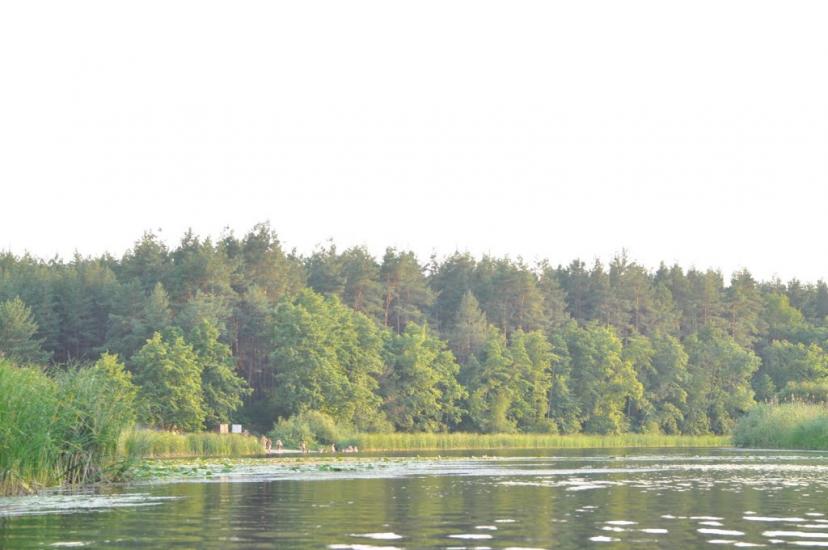 Верхоли з panoramio.com - Verkholy