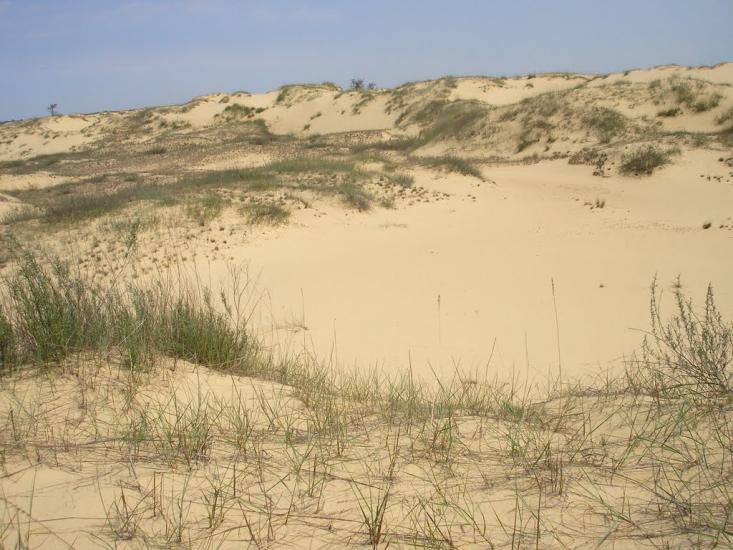 Пролетарка з panoramio.com - Пролетарка