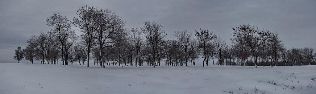 Комуна з panoramio.com - Комуна