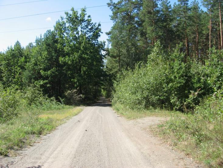 Візня з panoramio.com - Візня