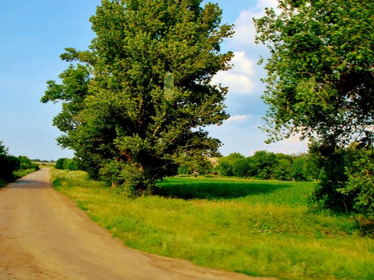 Медвин з panoramio.com - Медвин