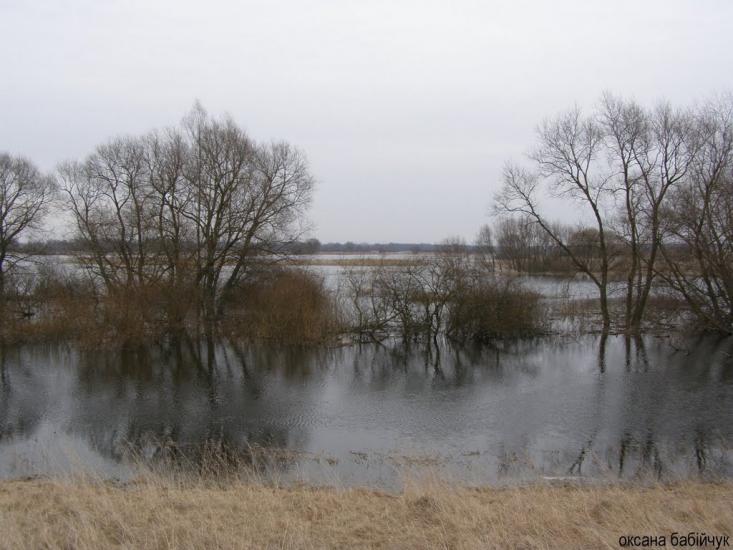 Литовеж з panoramio.com - Литовеж