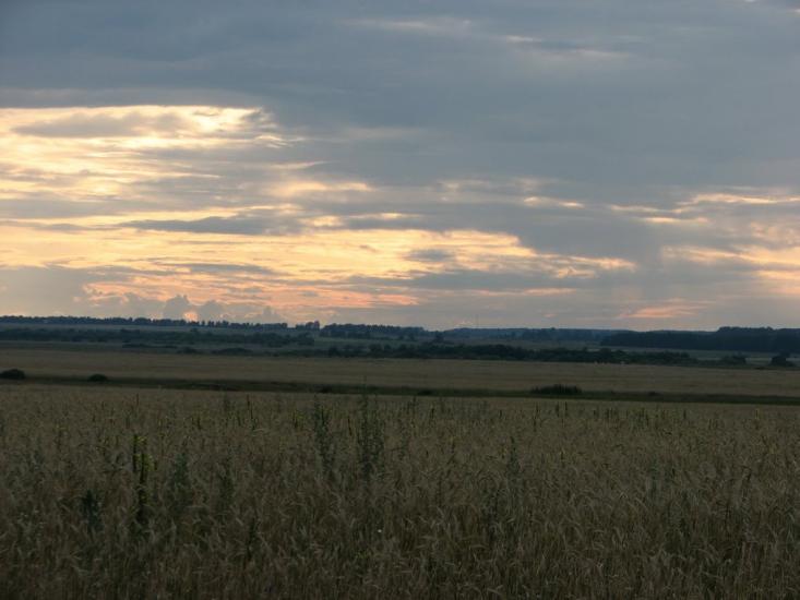 Віленька з panoramio.com - Vilenka