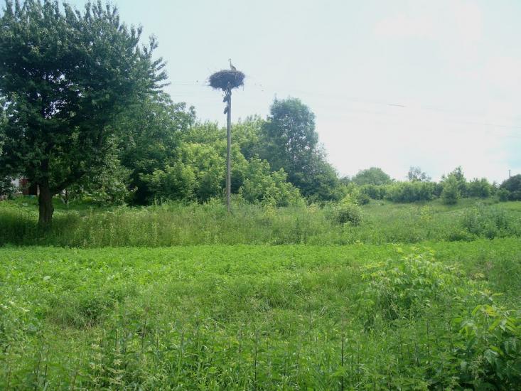 Городище з panoramio.com - Городище
