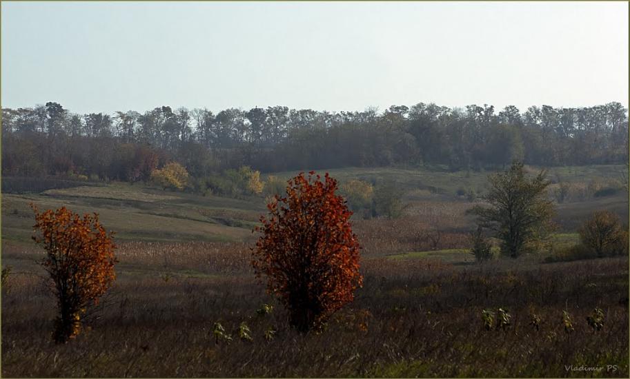 Новомайське з panoramio.com - Новомайское