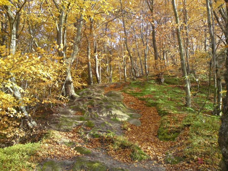 Розгірче з panoramio.com - Розгирче