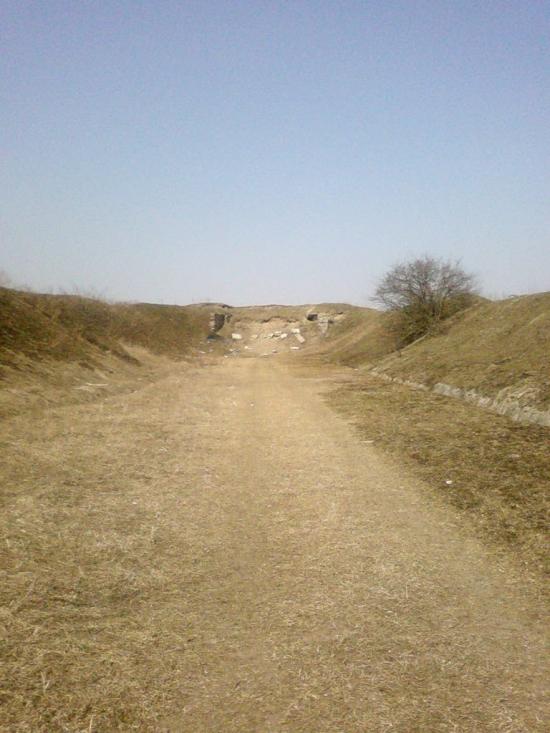 Великий Омеляник з panoramio.com - Великий Омеляник