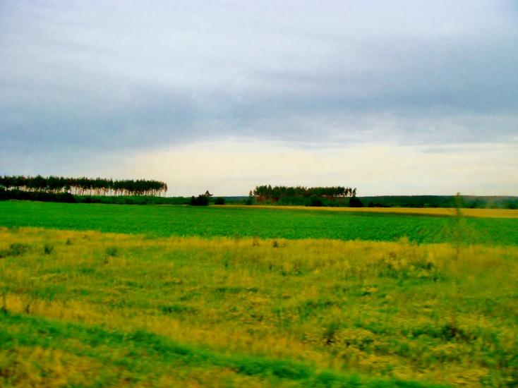 Неморож з panoramio.com - Неморож