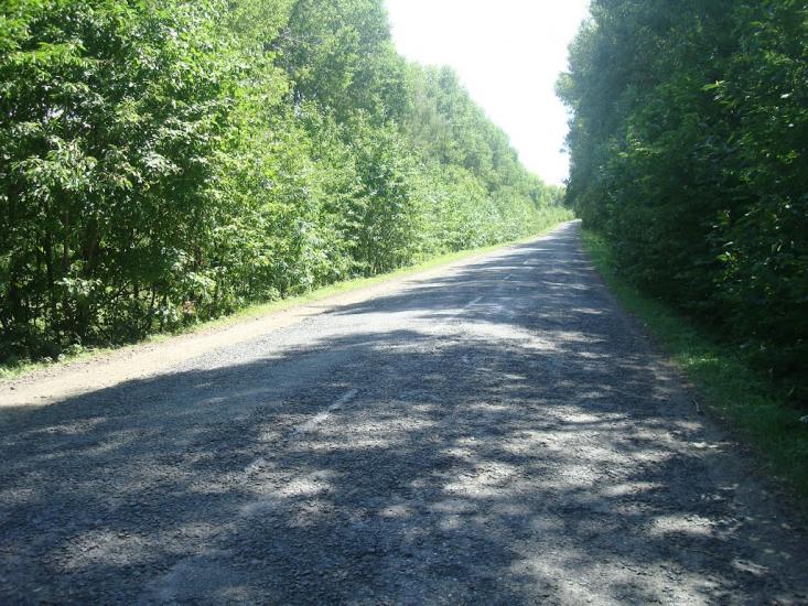 Михалківці з panoramio.com - Михалковцы