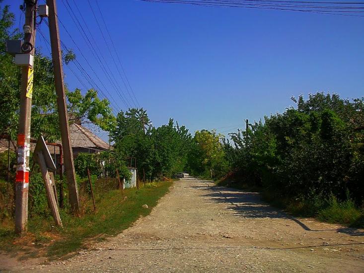 Чистеньке з panoramio.com - Чистеньке