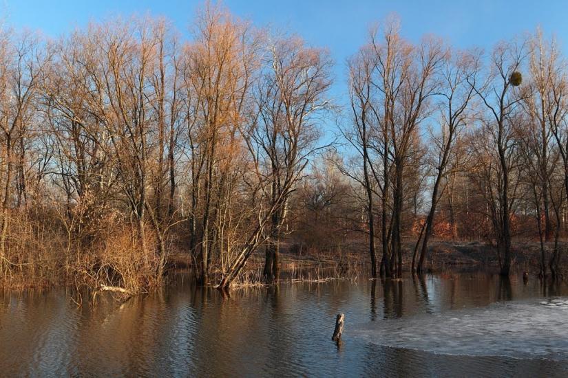 Черемушне з panoramio.com - Cheremushne
