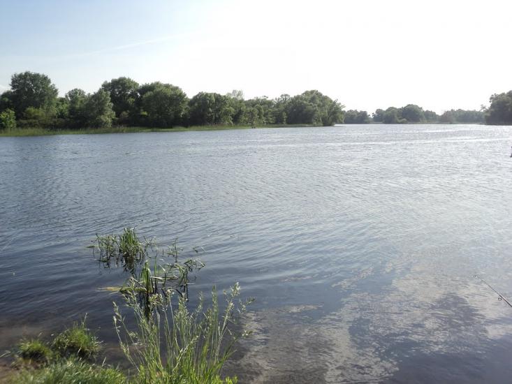 Дмитрівка з panoramio.com - Дмитровка