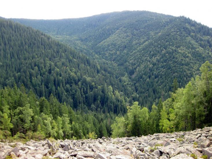 Максимець з panoramio.com - Максимець