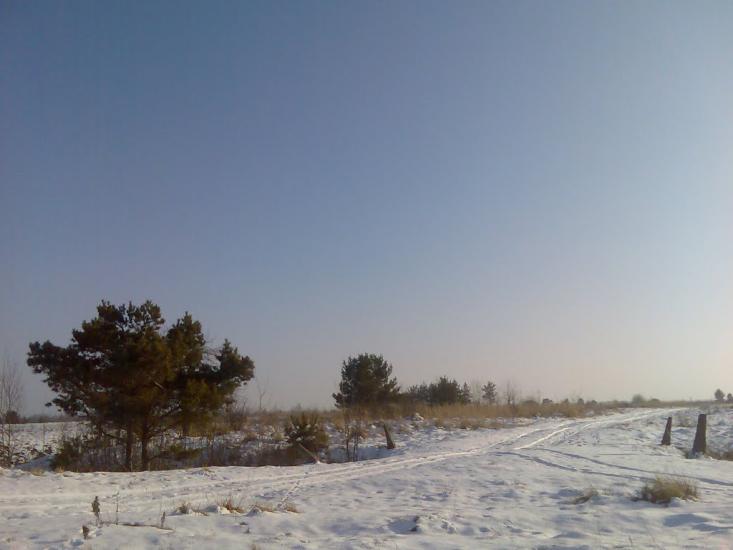 Ценява з panoramio.com - Ценява