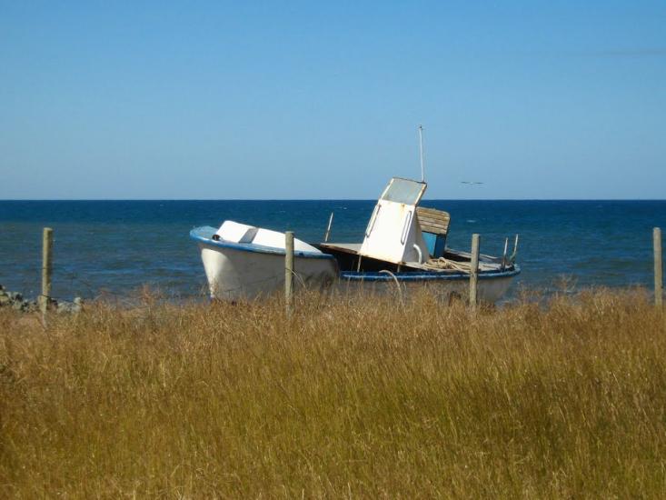 Водопійне з panoramio.com - Водопійне
