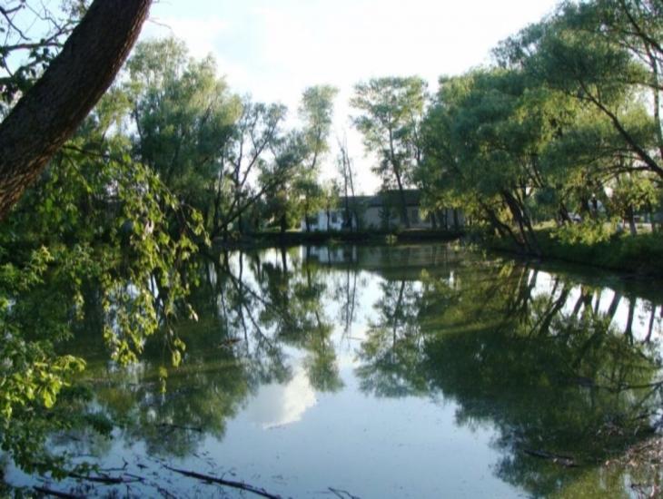 Вихвостів з panoramio.com - Вихвостів