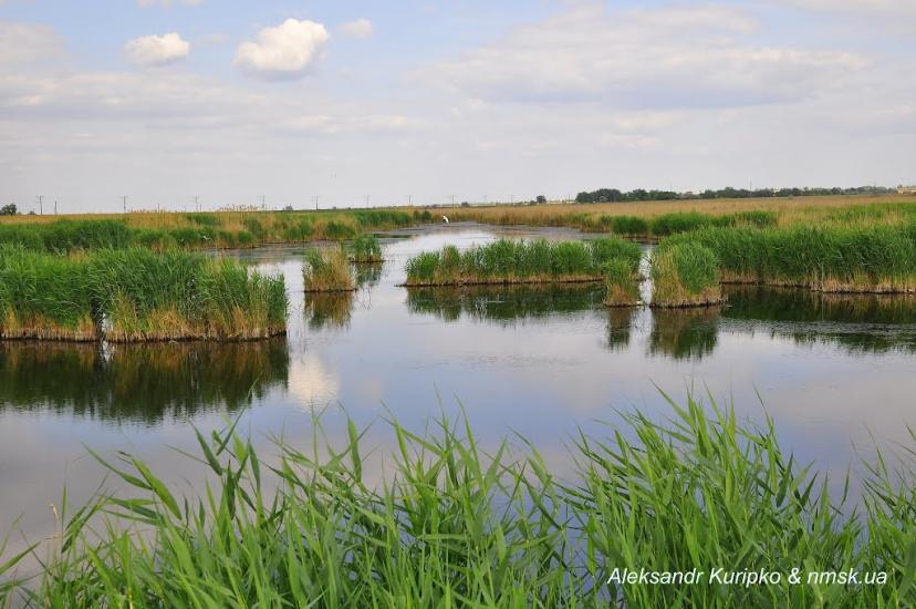 Піщанка з panoramio.com - Песчанка