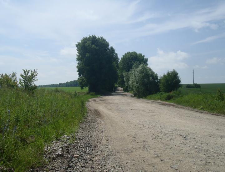 Черепова з panoramio.com - Черепова